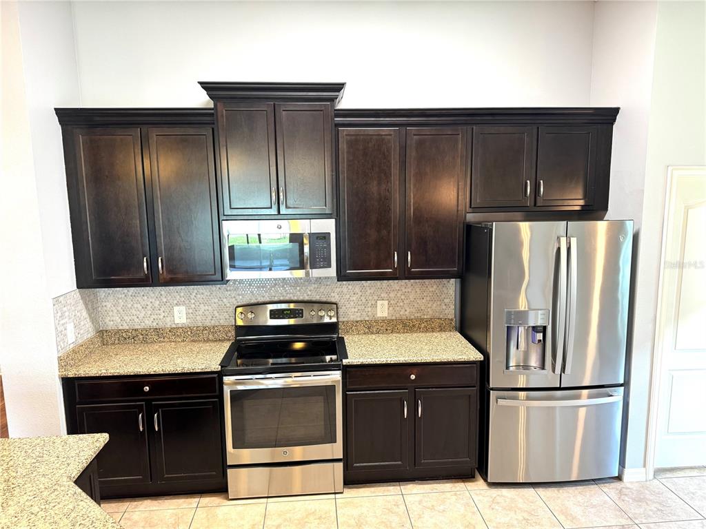 12005 Rambling Stream Drive Riverview, FL 33569 - Photo 6 of 32