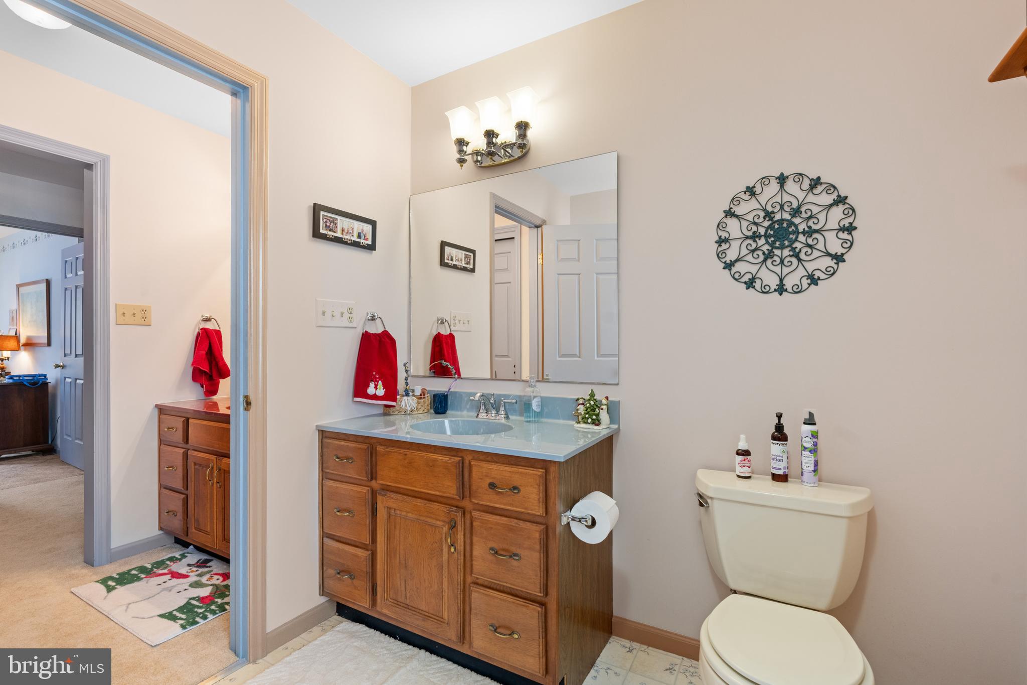 118 Middle Creek Road Gilbertsville, PA 19525 - Photo 50 of 108 a bathroom with a sink vanity mirror and toilet