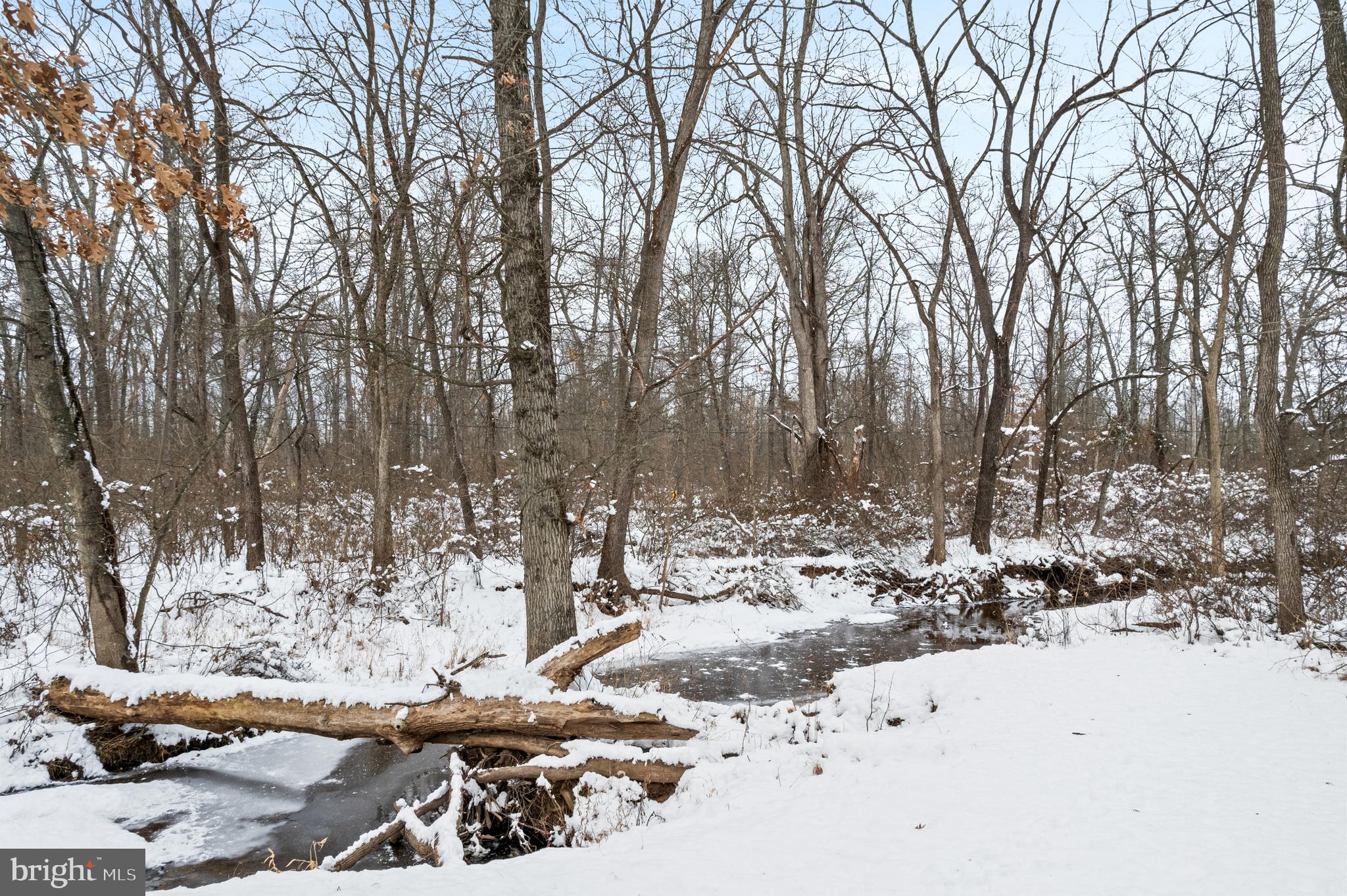 118 Middle Creek Road Gilbertsville, PA 19525 - Photo 73 of 108 Creek on Property