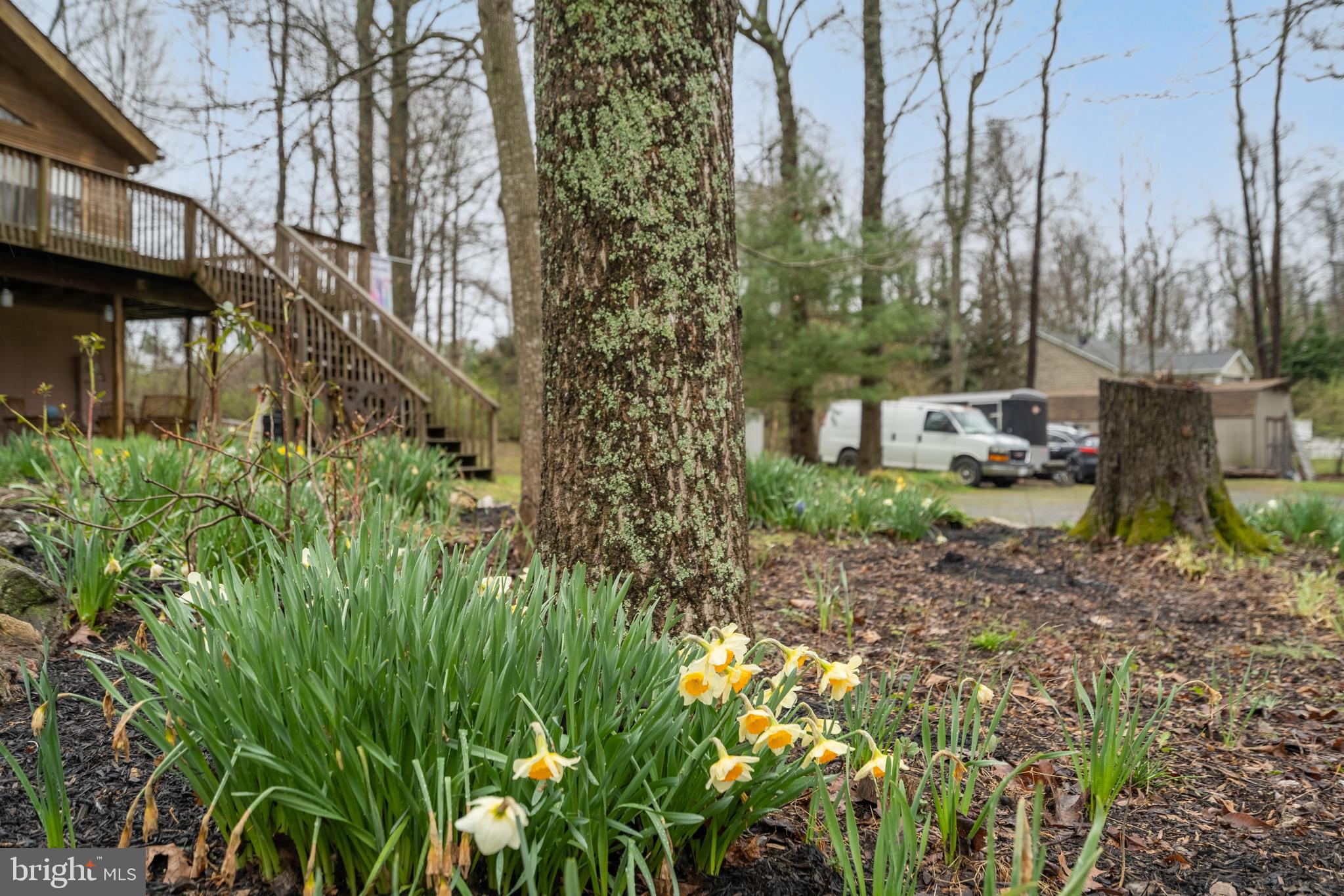 2615 Apple Pie Ridge Road Winchester, VA 22603 - Photo 63 of 65