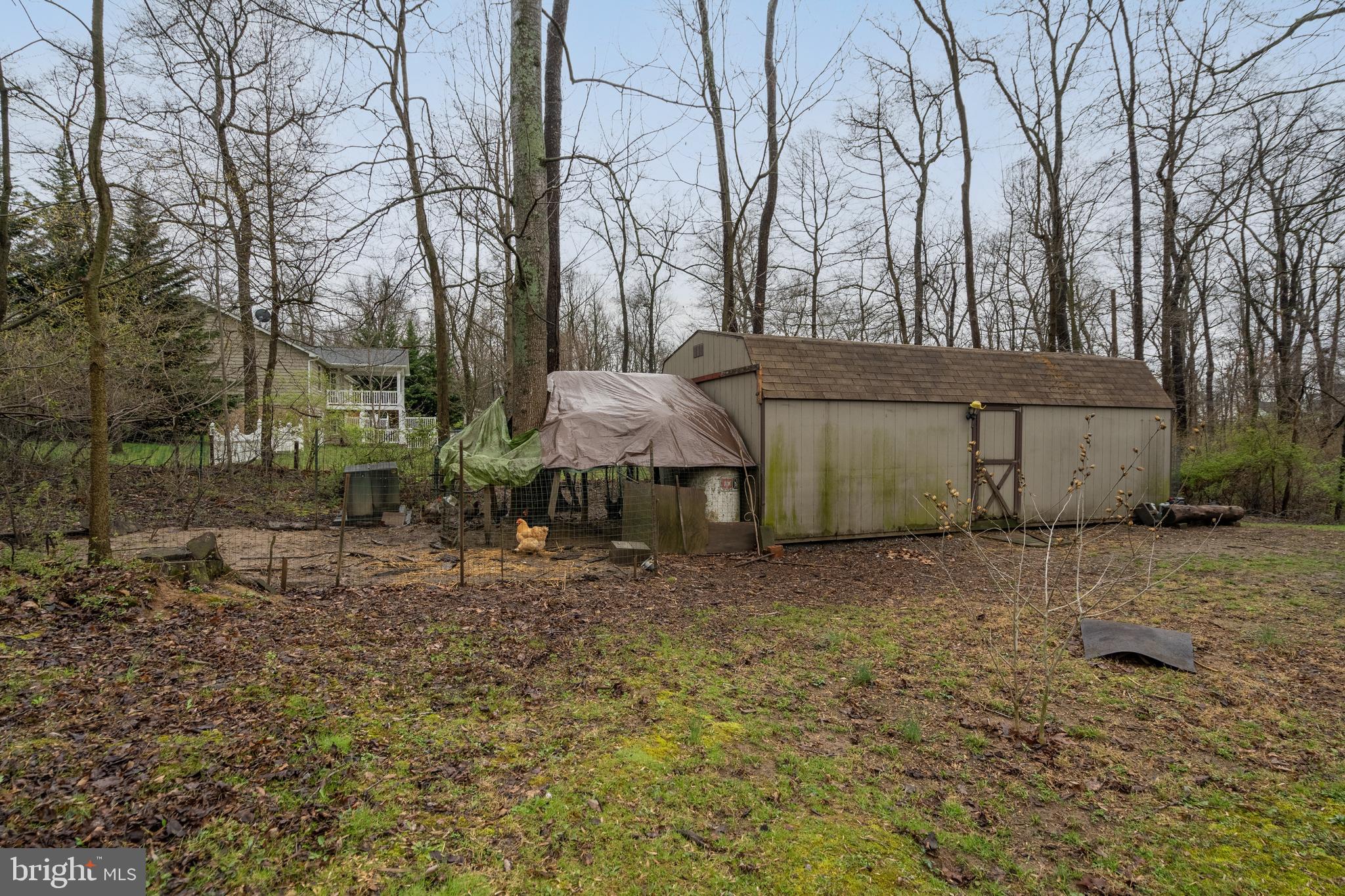 2615 Apple Pie Ridge Road Winchester, VA 22603 - Photo 65 of 65