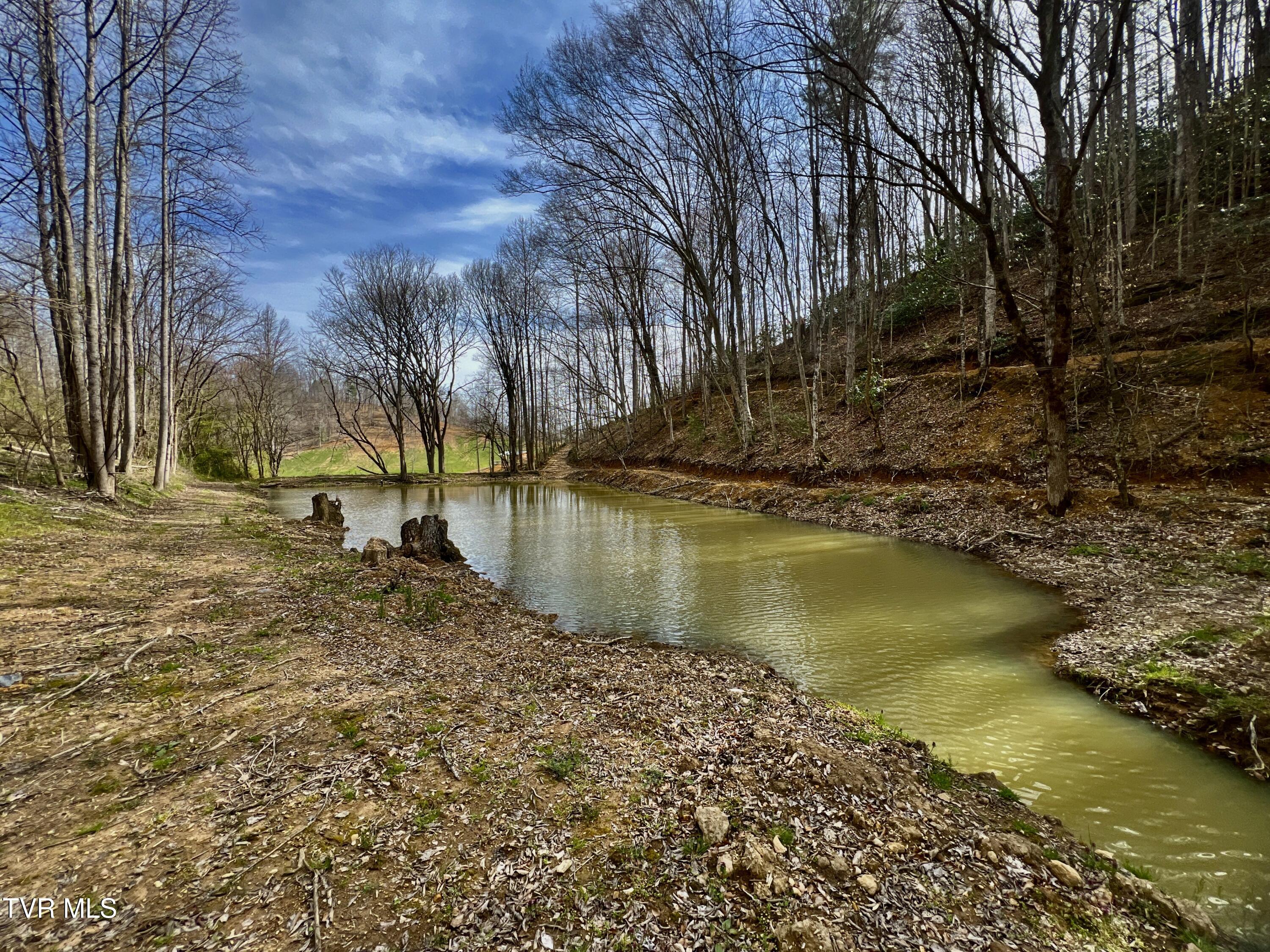 538 Punkton Road Del Rio, TN 37727 - Photo 56 of 92 _Pic69 (14)