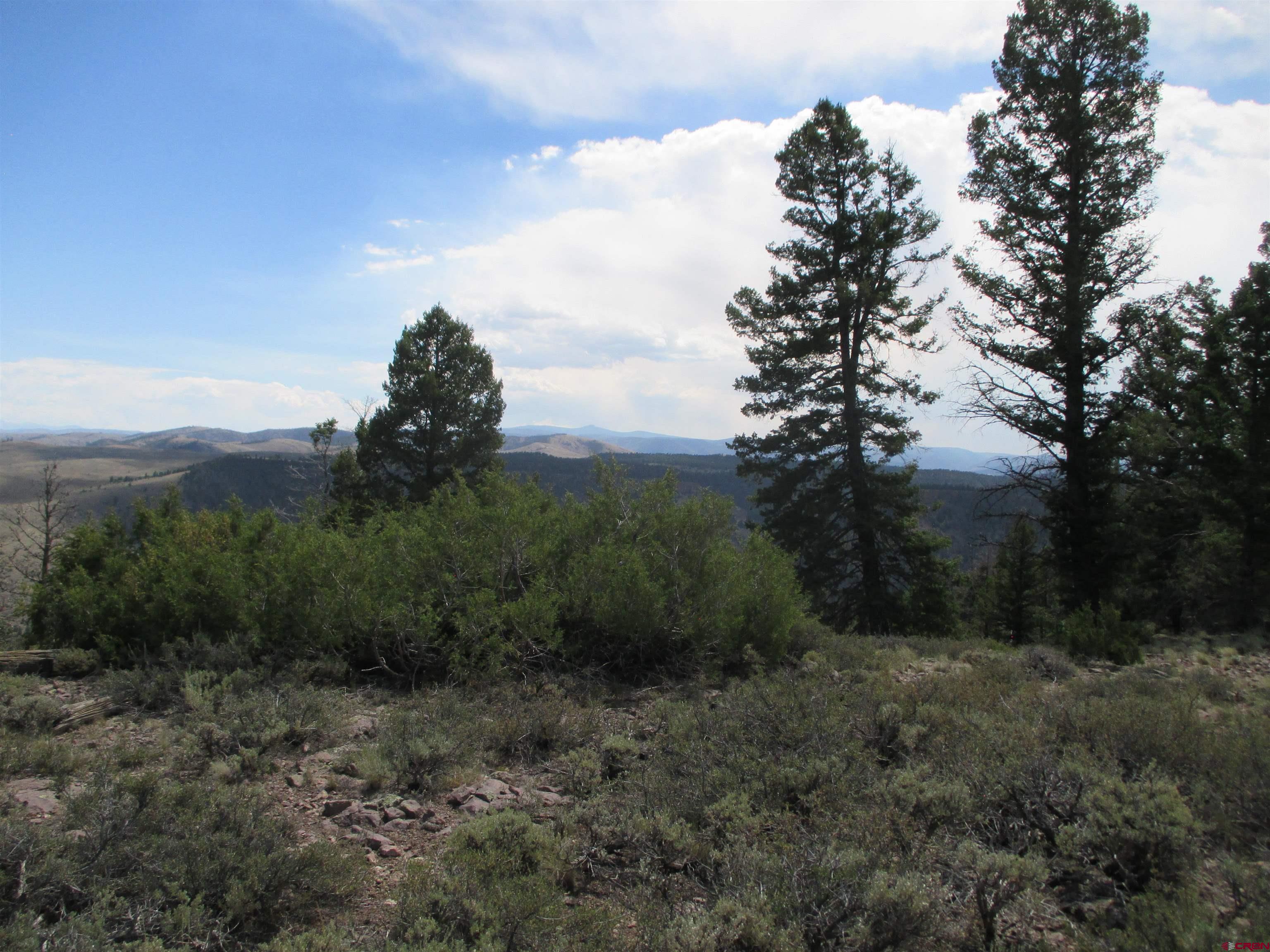 809 Schofield Trail Powderhorn, CO 81243 - Photo 37 of 41 Gallery Image 37