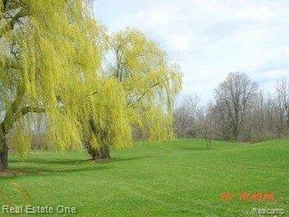 2225 7 Mile Road South Lyon, MI 48178 - Photo 3 of 17 7 mile beautiful view