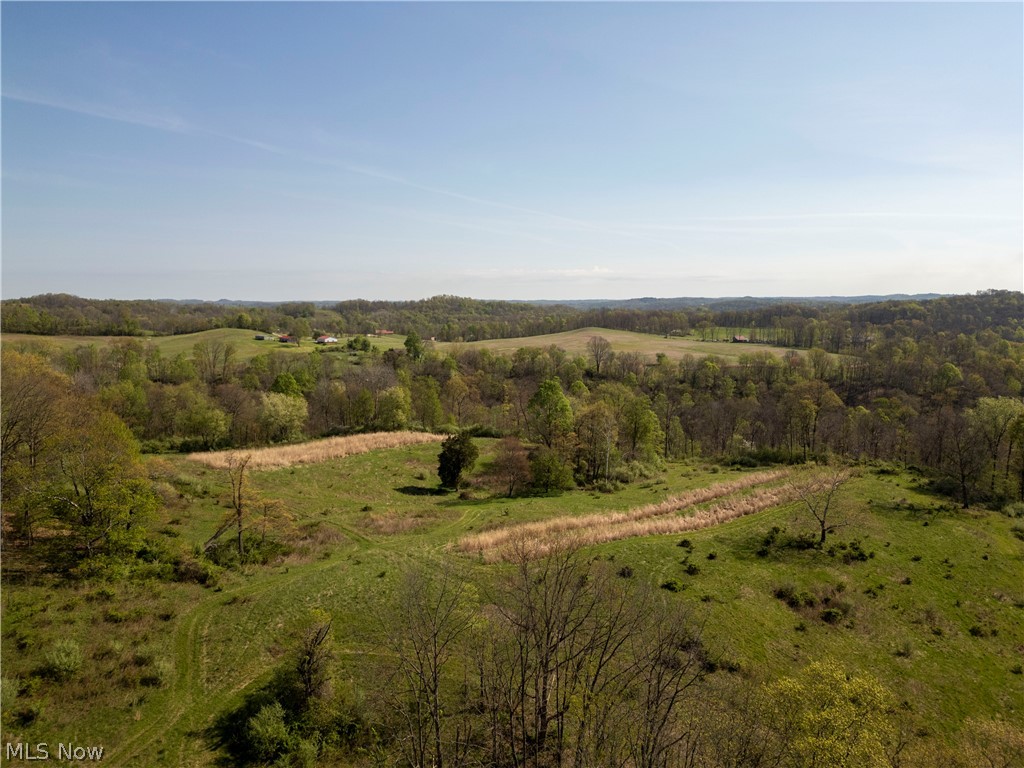 80960 Burkhart Road Tippecanoe, OH 44699 - Photo 12 of 50
