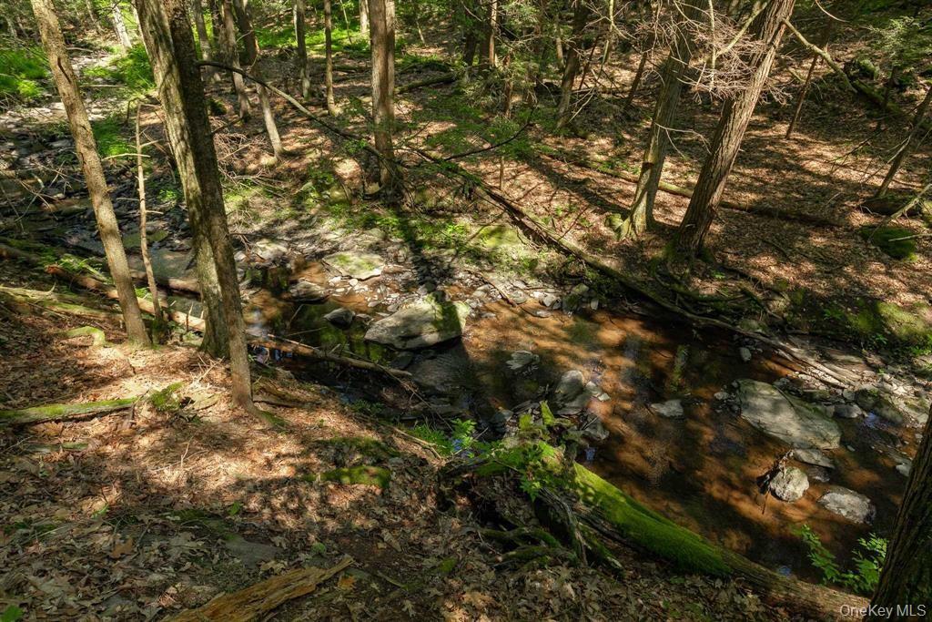 128 Sawmill Road Red Hook, NY 12571 - Photo 39 of 40