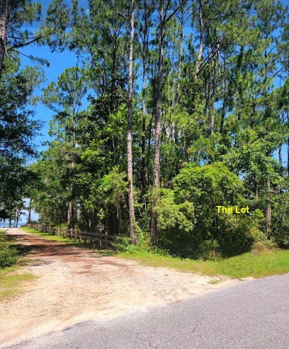 2018 Bay Grove Road Freeport, FL 32439 - Photo 3 of 11 Bay Grove Road2