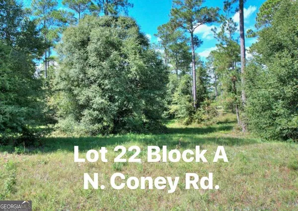$22,900 | Tbd North Coney Rd Lot 22 Block A, Cordele, GA 31015