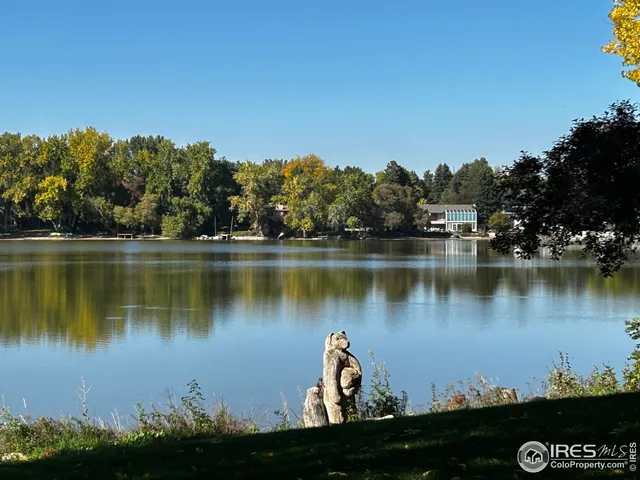 a view of a lake in a forest