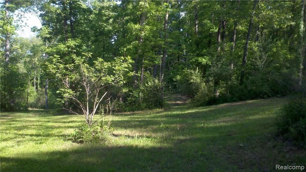 V/l V/l Doyle Road Pinckney, MI 48169 - Photo 5 of 24
