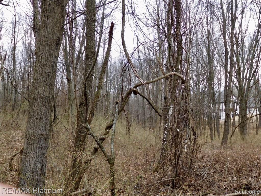0 West Buno Road Milford, MI 48381 - Photo 18 of 28