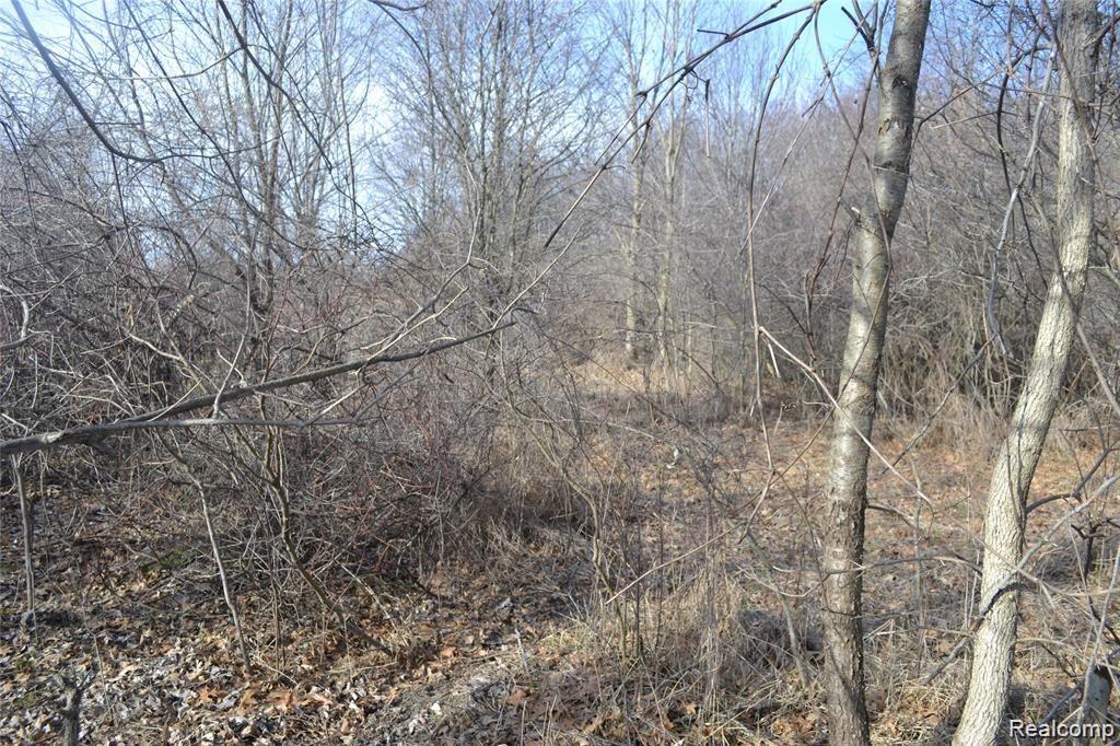 Vacant Oak Grove Road Howell, MI 48855 - Photo 5 of 19