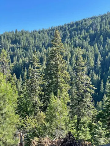 $1,200,000 | 80 West Fork Creek Road, Cascade, ID 83611