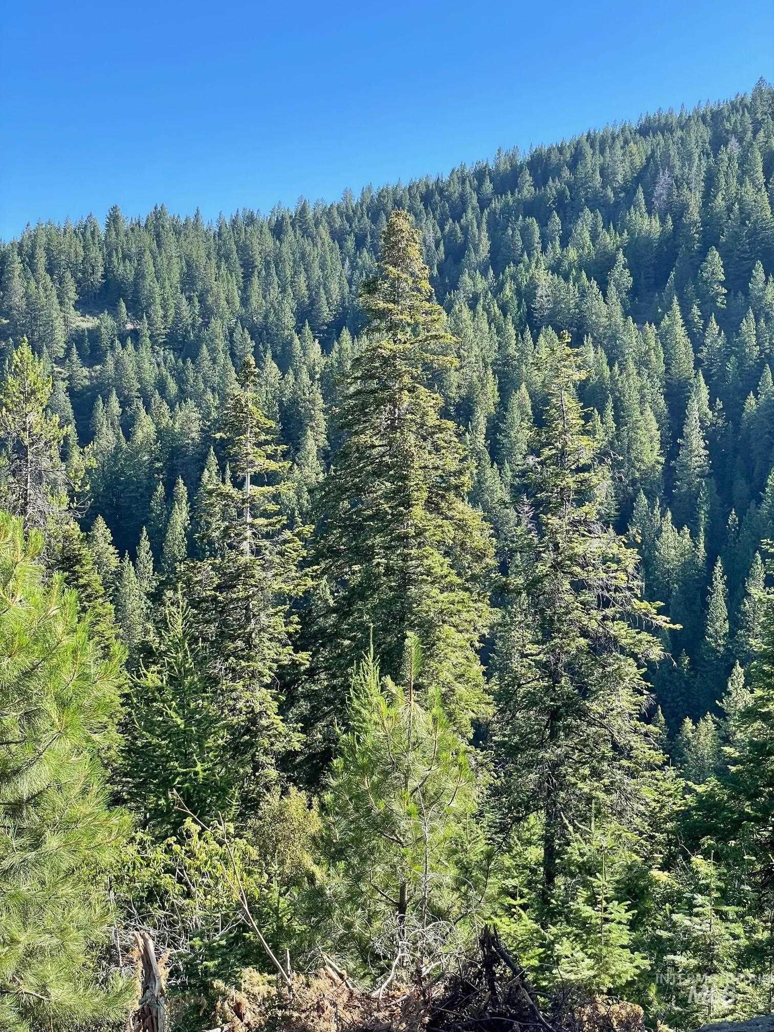 80 West Fork Creek Road Cascade, ID 83611 - Photo 2 of 10 Bird's eye view