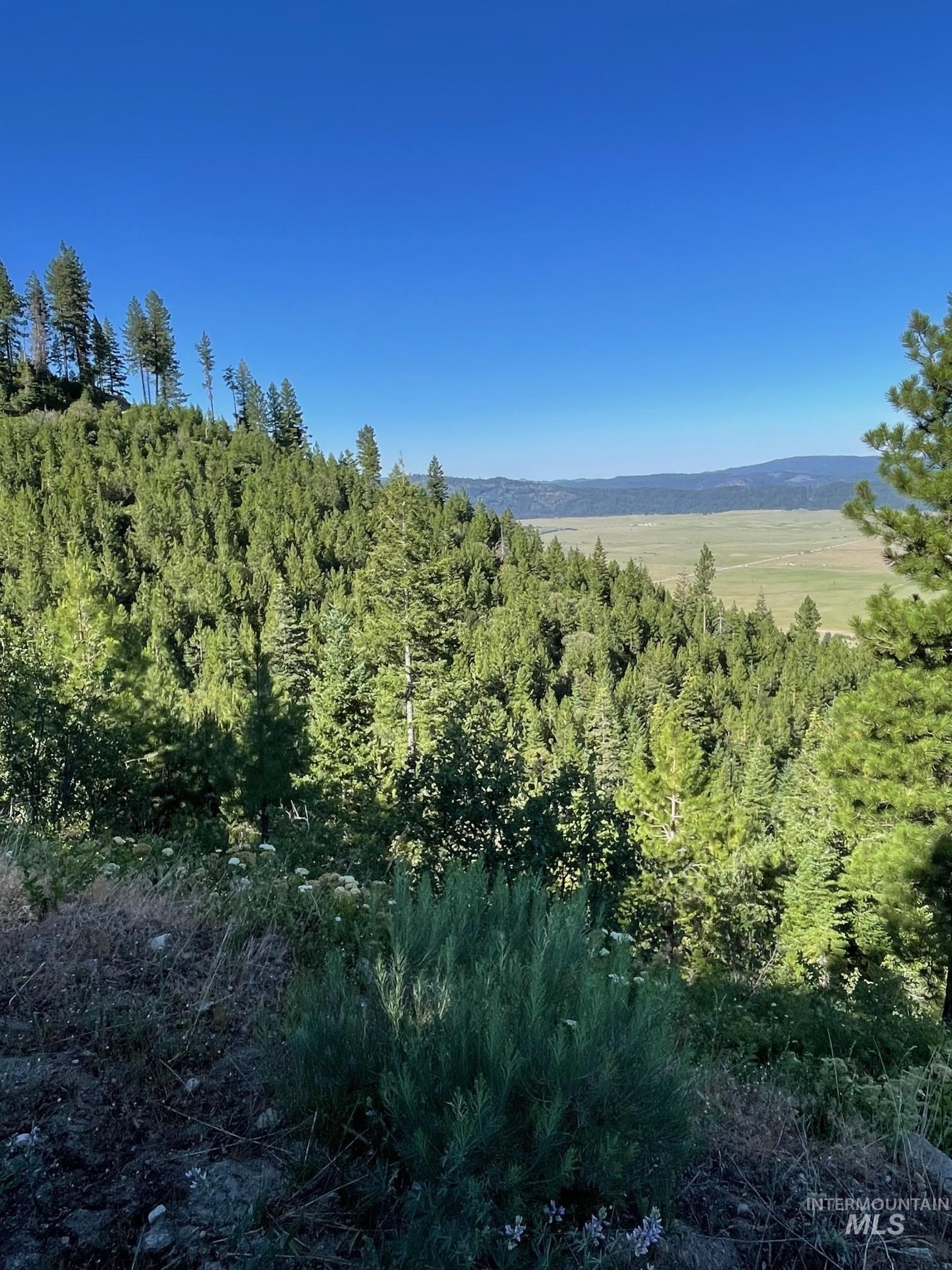 80 West Fork Creek Road Cascade, ID 83611 - Photo 4 of 10 View of local wilderness