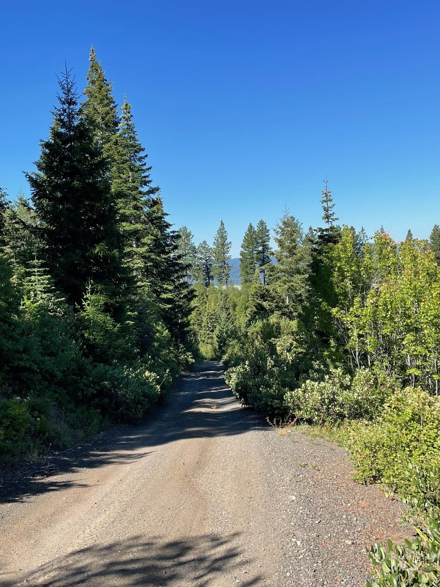 80 West Fork Creek Road Cascade, ID 83611 - Photo 7 of 10 View of dirt / gravel road with a wooded view