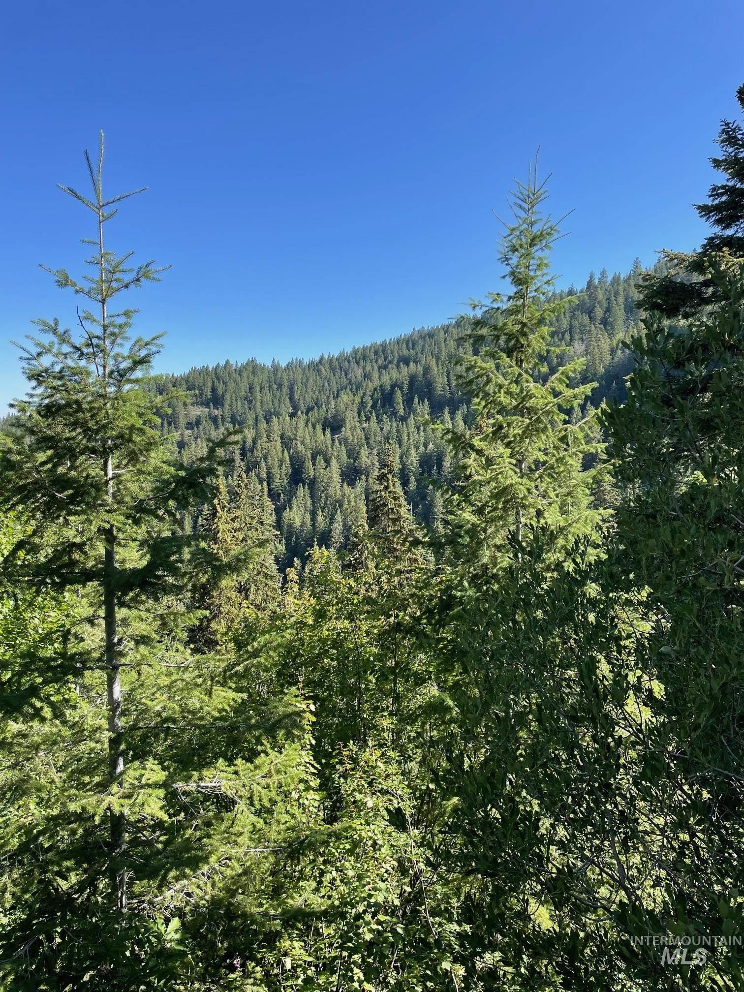 80 West Fork Creek Road Cascade, ID 83611 - Photo 9 of 10 View of mountain backdrop featuring a heavily wooded area