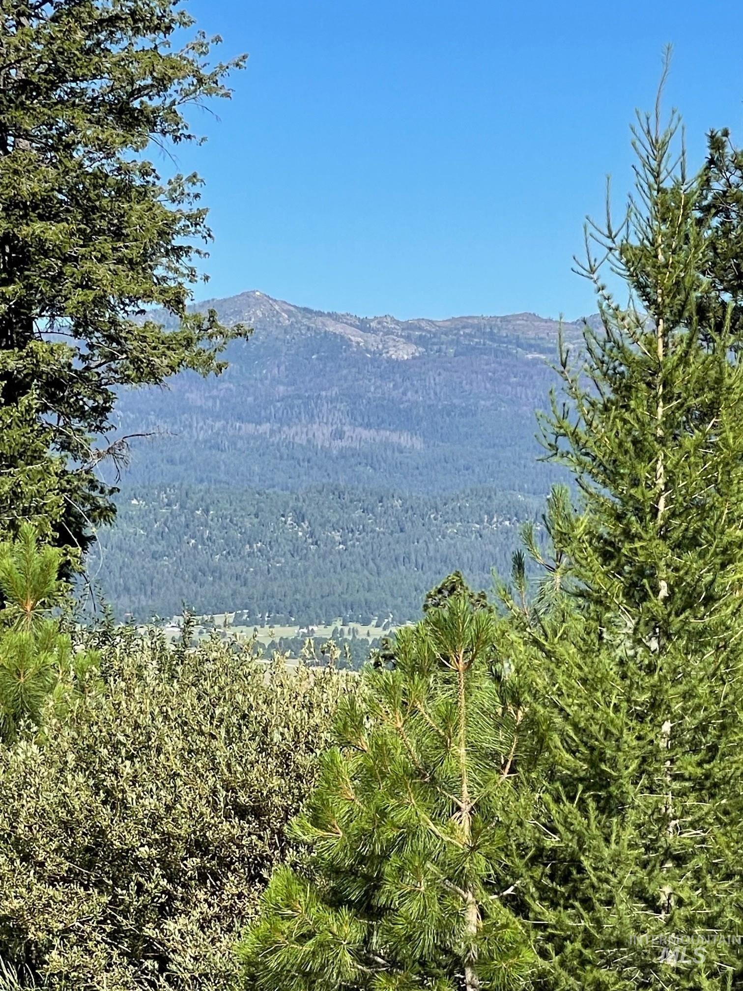 80 West Fork Creek Road Cascade, ID 83611 - Photo 10 of 10 View of mountain background featuring a heavily wooded area