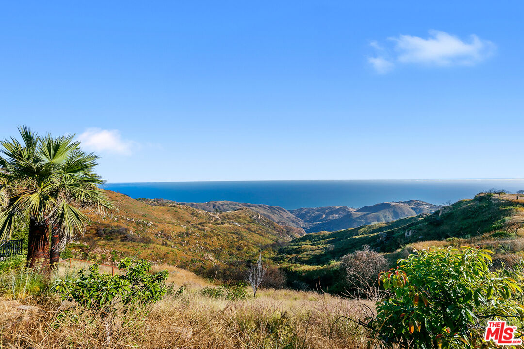23010 Saddle Peak Road Topanga, CA 90290 - Photo 6 of 51