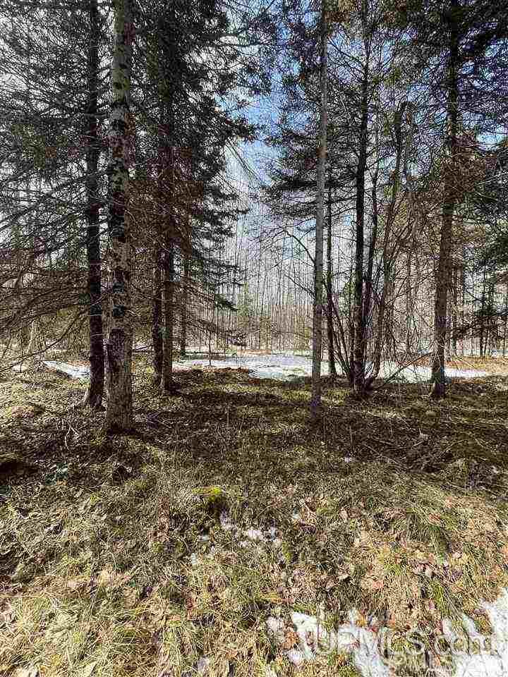 Tbd Tbd Co Road, Unit 1 Marquette, MI 49855 - Photo 26 of 50