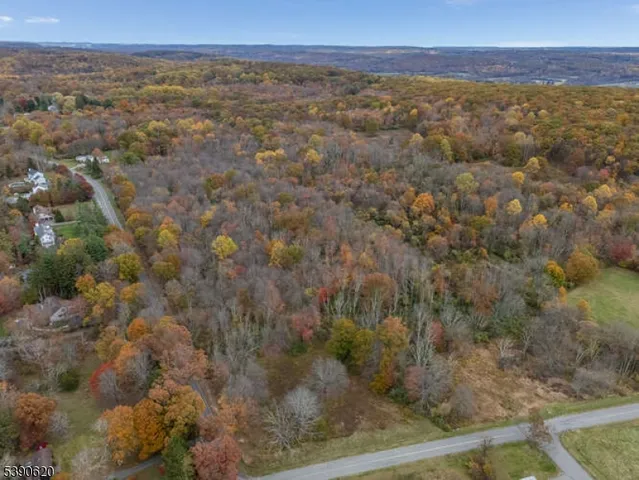 an aerial view of residential houses with outdoor space and trees