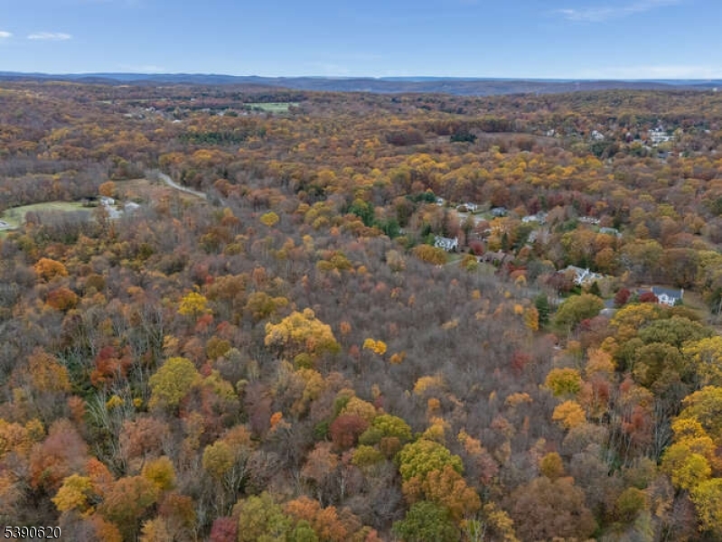 117 East Springtown Road Long Valley, NJ 07853 - Photo 7 of 7 an aerial view of residential houses with outdoor space and trees