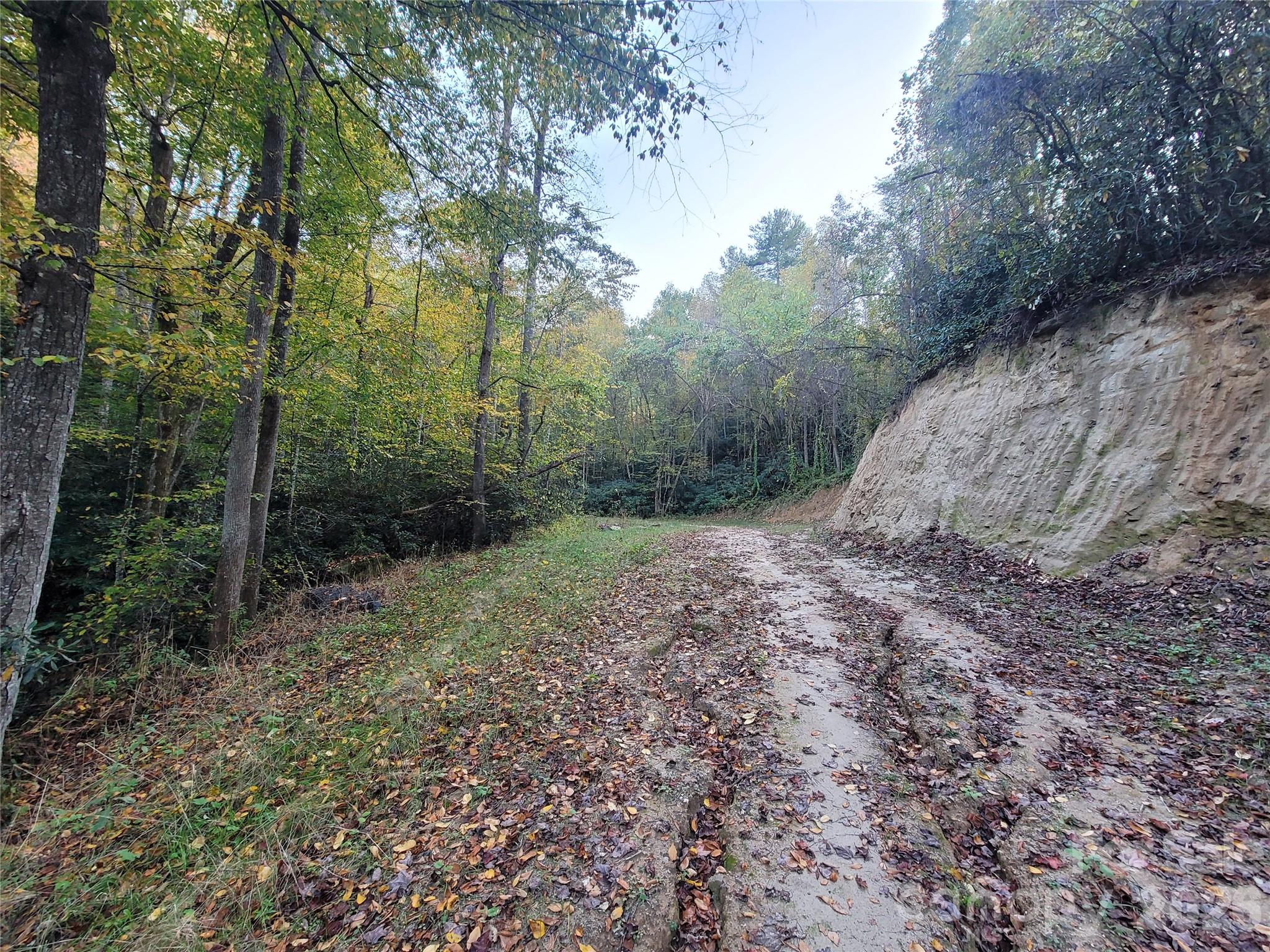 0 Big Hungry Road Flat Rock, NC 28731 - Photo 25 of 40 a view of a yard