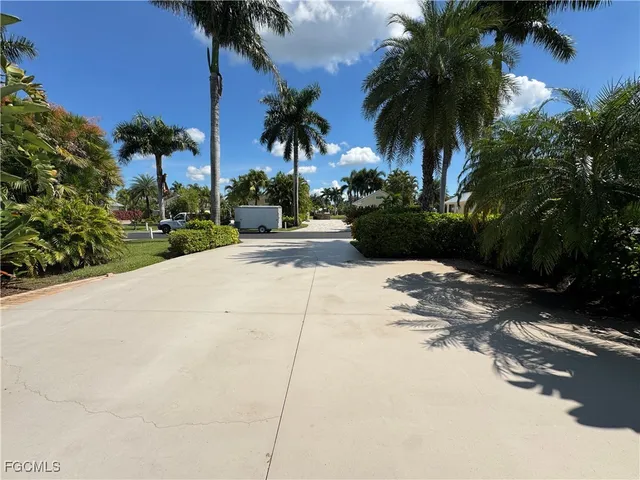 a view of a yard with palm trees