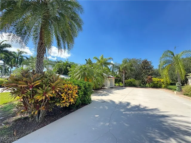 a view of a yard with plants