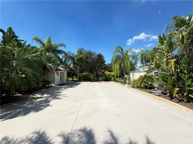 a view of a yard with plants and trees