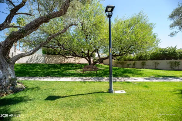 a view of a tennis ground with large trees