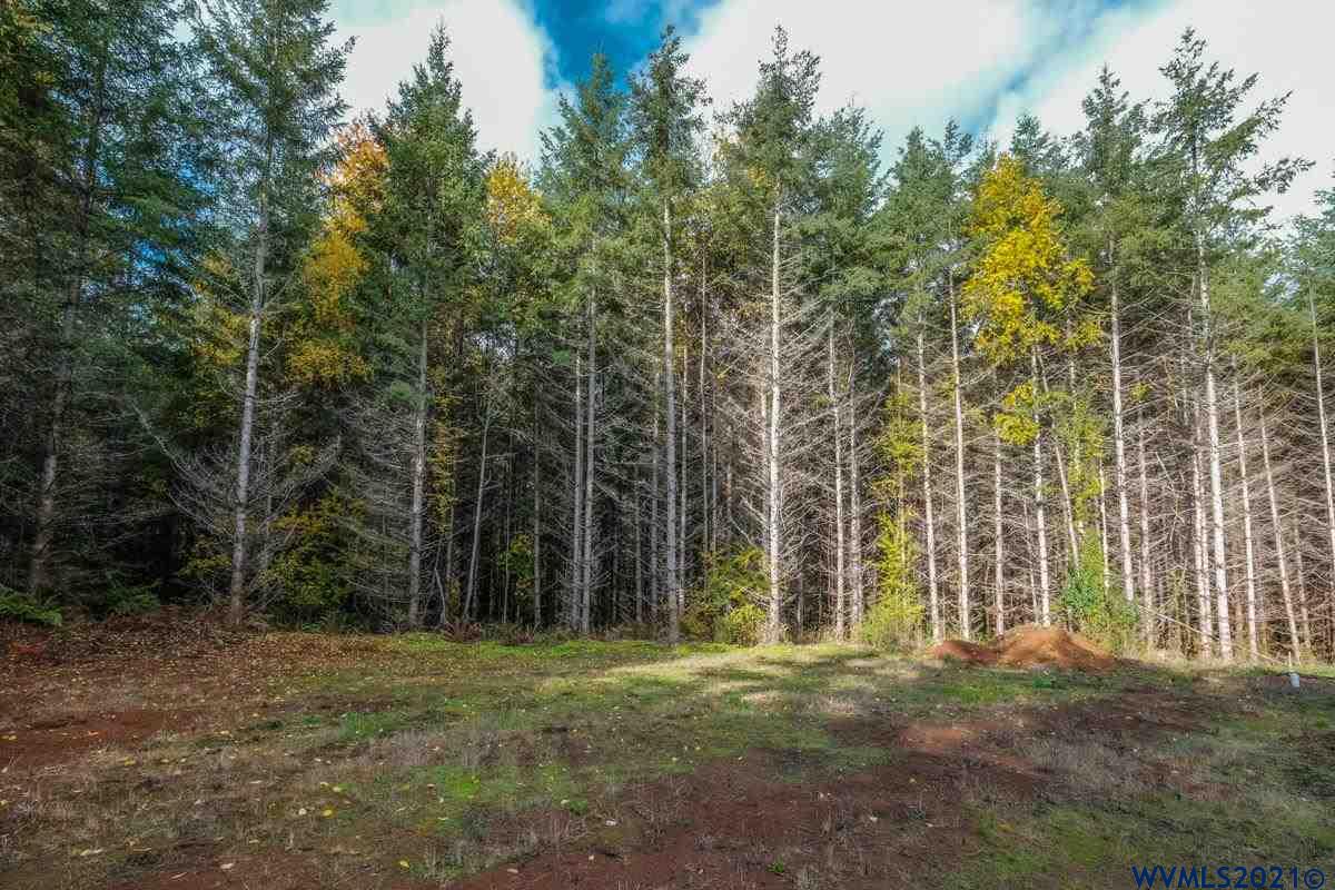 Meridian (ta 392239) Road Lebanon, OR 97355 - Photo 18 of 32