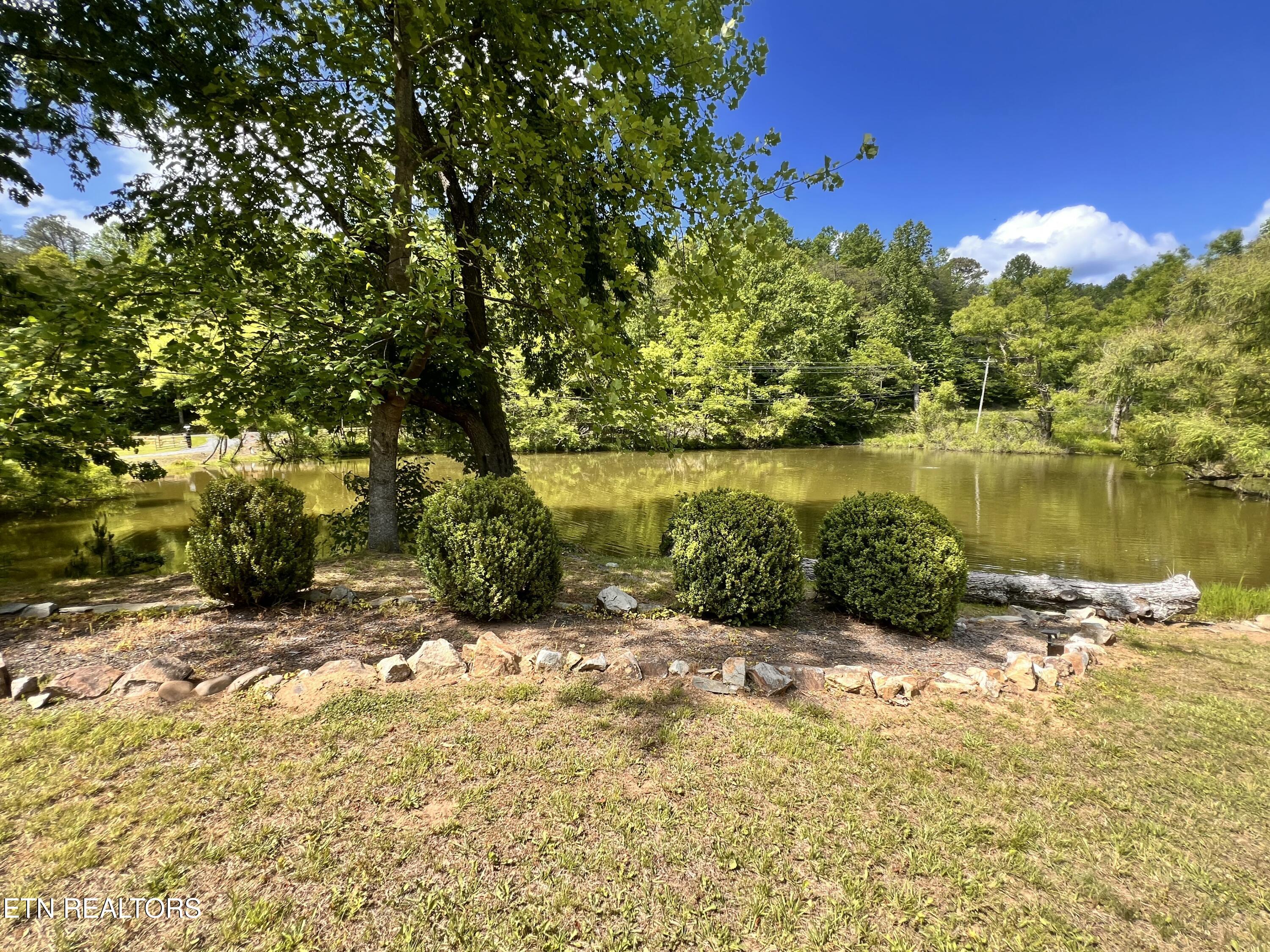 4040 Trail Hollow Road Cosby, TN 37722 - Photo 49 of 60 IMG_7418