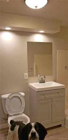a bathroom with a toilet a sink and mirror
