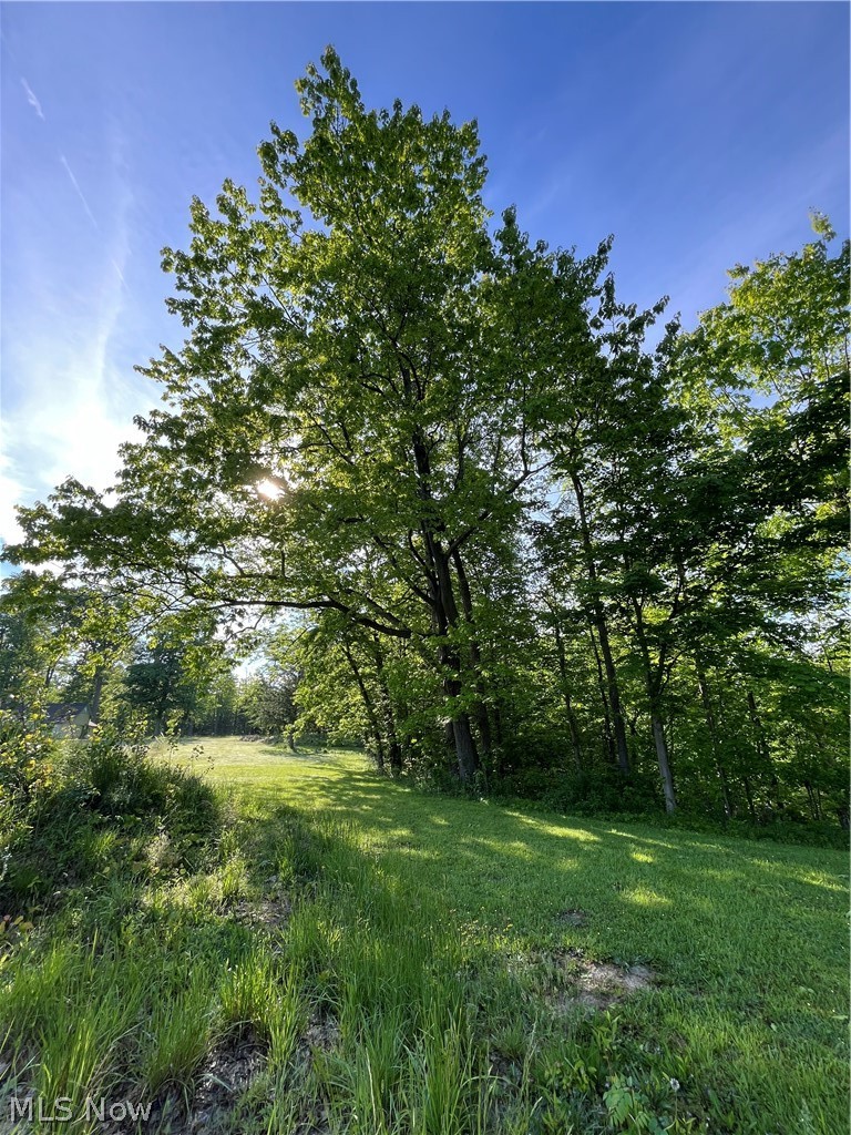 Vl South Ridge Road Geneva, OH 44041 - Photo 26 of 34