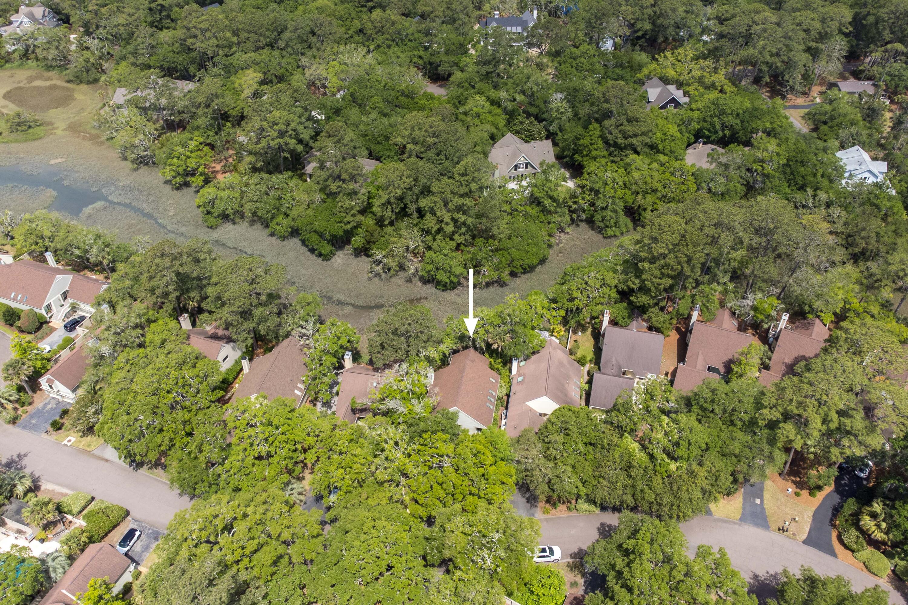 1008 Embassy Row Way Seabrook Island, SC 29455 - Photo 43 of 112 Gallery Image 43