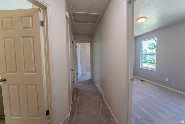 11957 Noelle Road Sandy, UT 84092 - Photo 21 of 38 Corridor