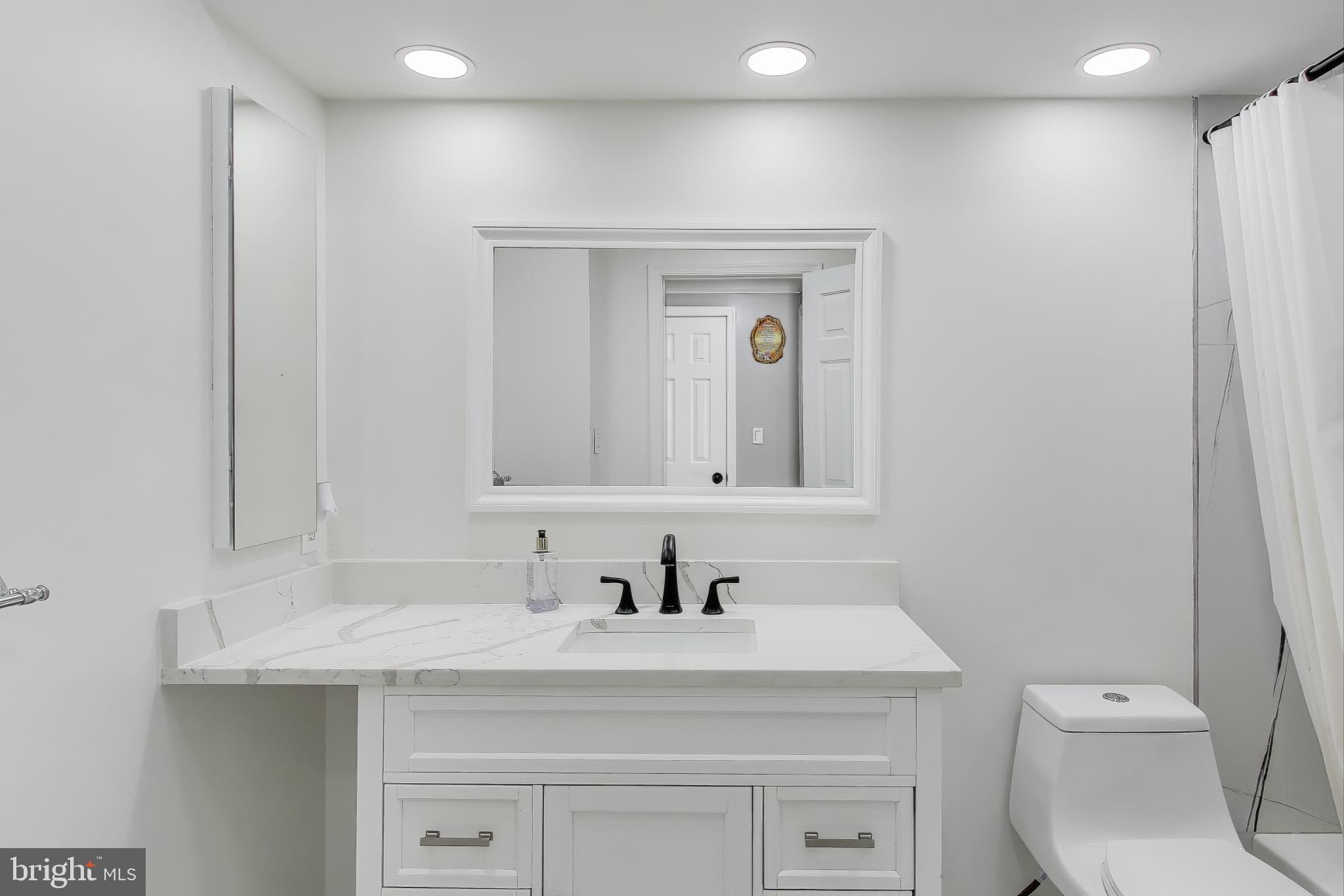 16702 Gooseneck Terrace Olney, MD 20832 - Photo 38 of 65 a bathroom with a sink a toilet and a mirror
