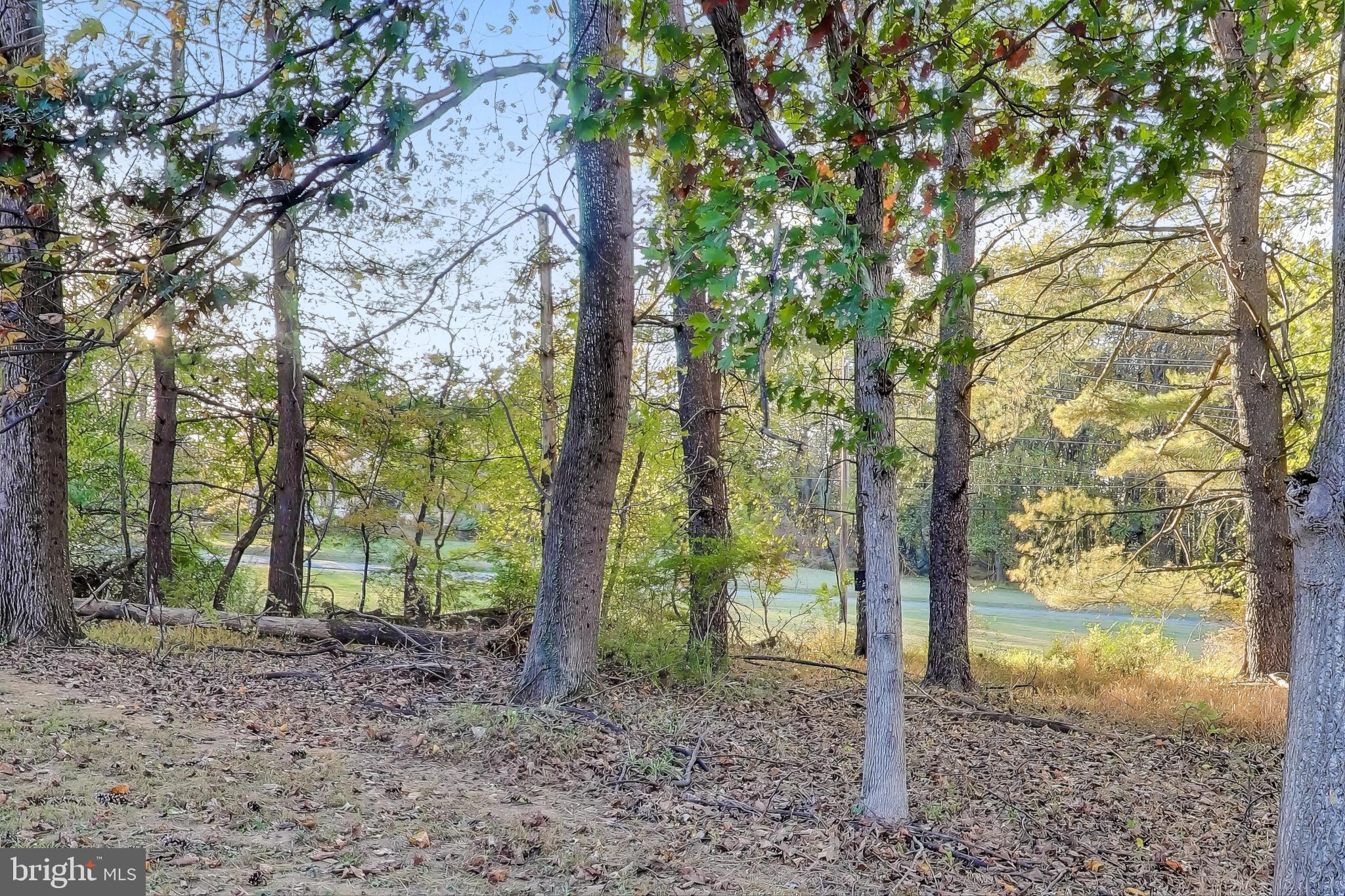 16702 Gooseneck Terrace Olney, MD 20832 - Photo 63 of 65