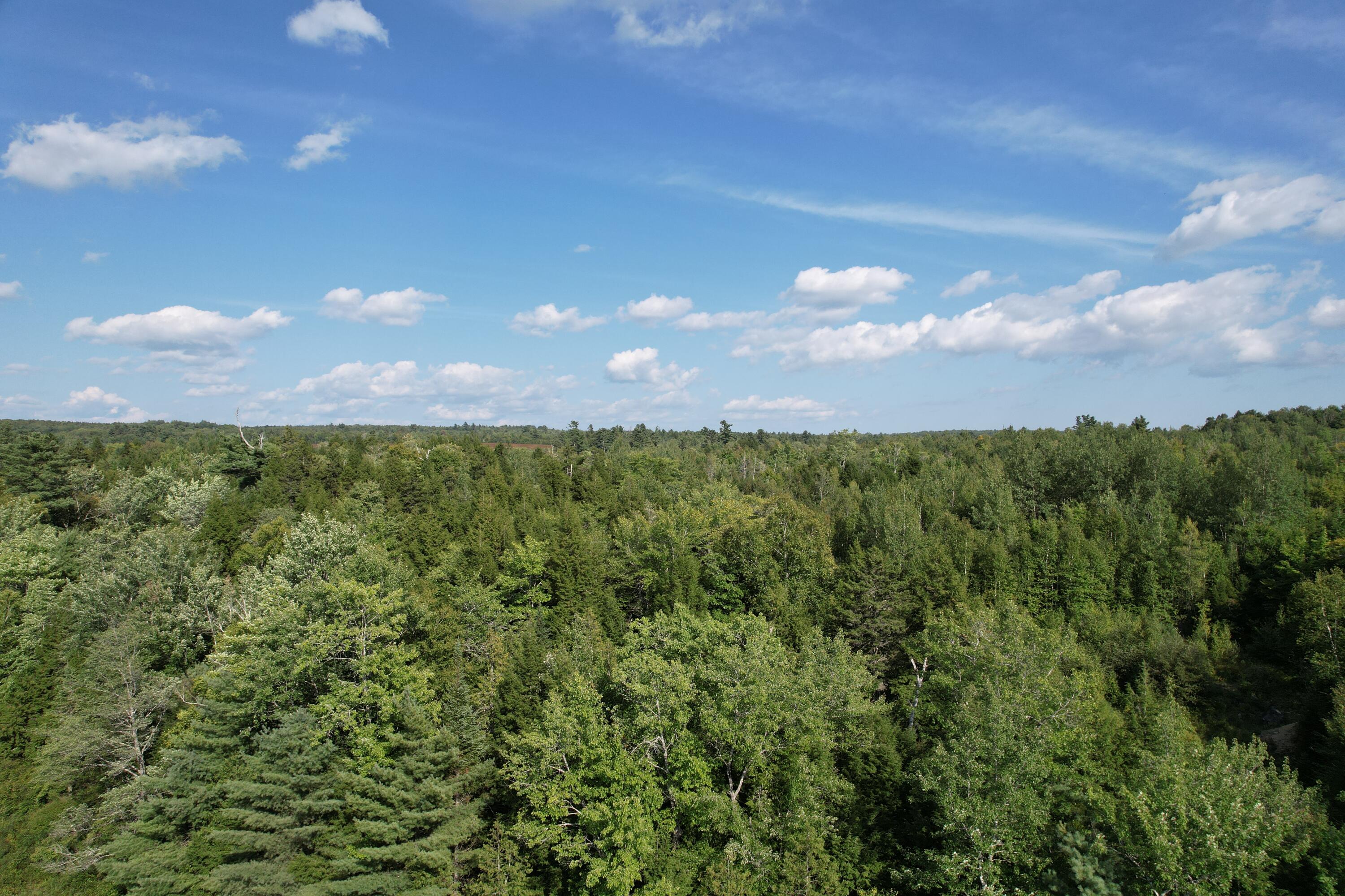 69 K Christmas Cove Road Crawford, ME 04694 - Photo 11 of 18 DJI_0021