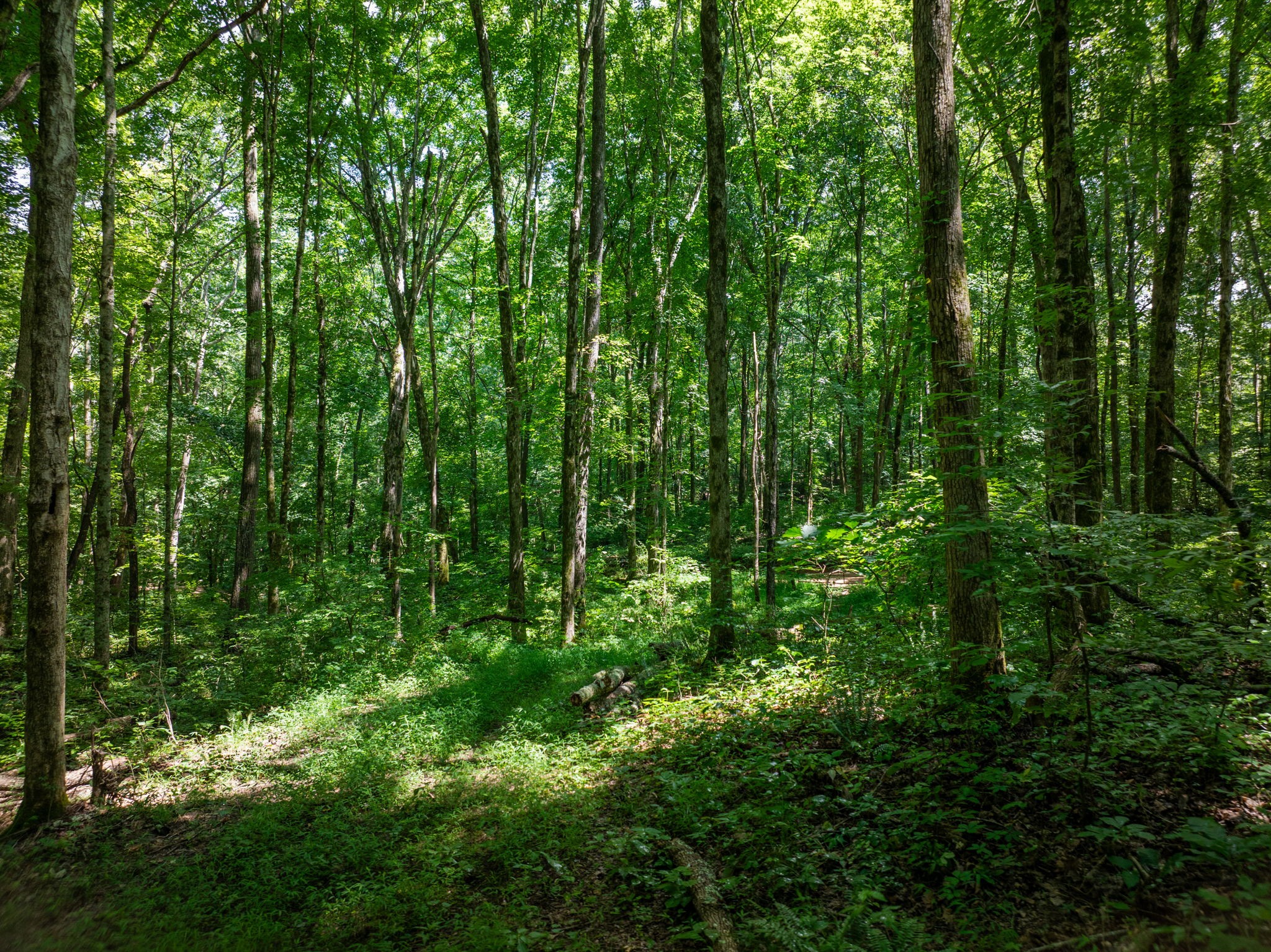 0 Barren Fork Bridge Road Bon Aqua, TN 37025 - Photo 10 of 28
