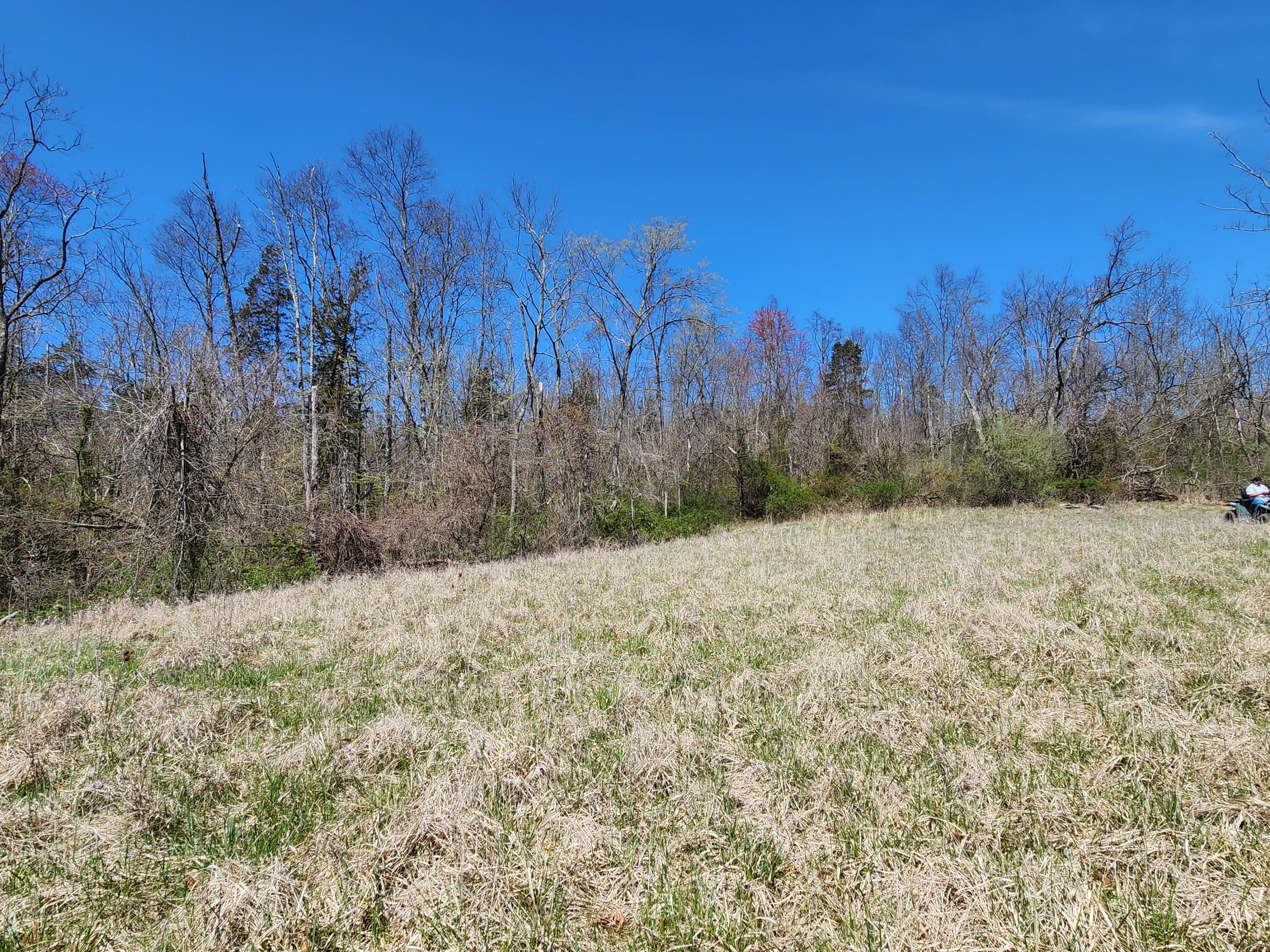 0 Halleys Ridge Road Caldwell, OH 43724 - Photo 27 of 69 20230411_132008
