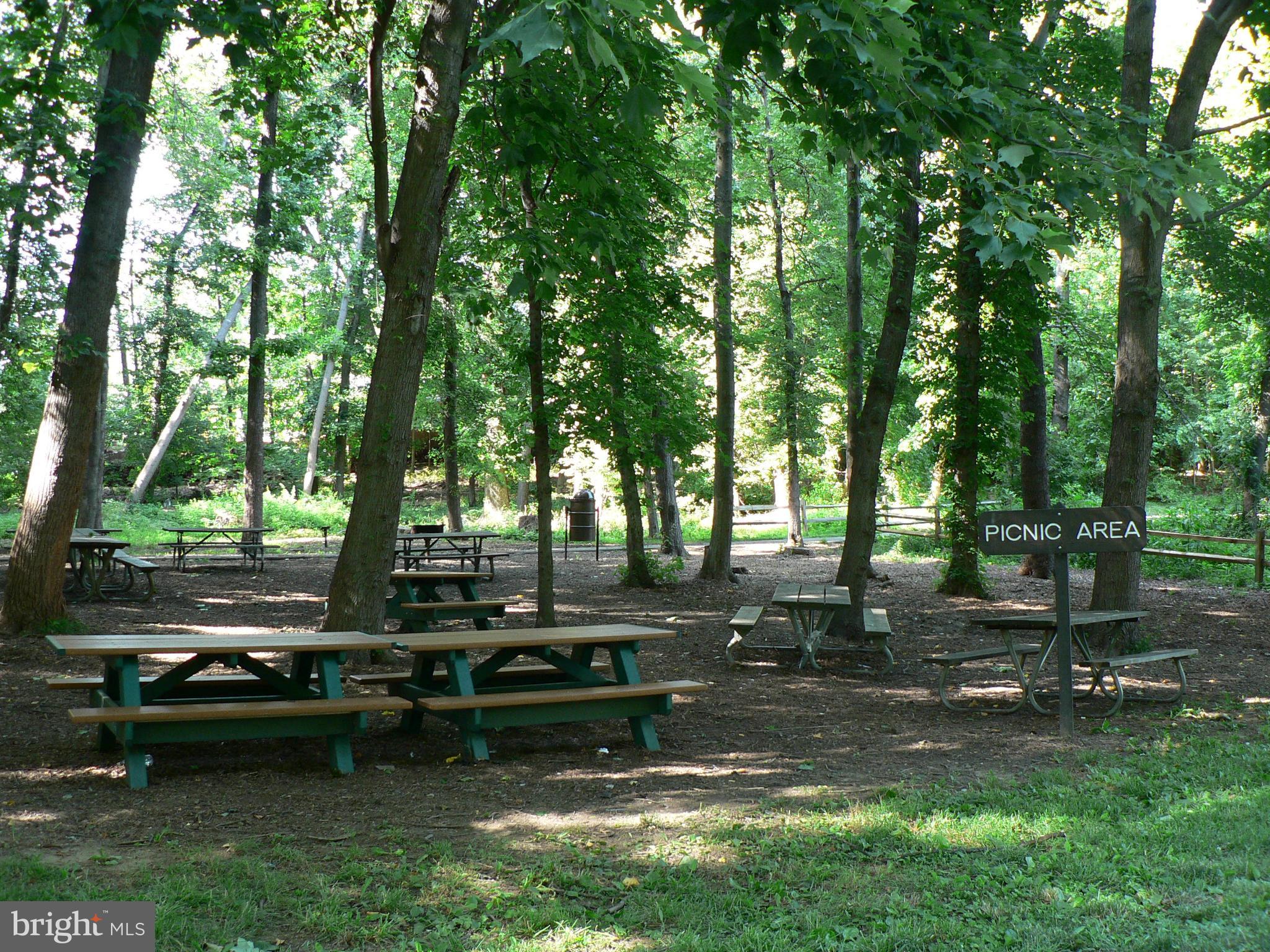 706 Winhall Way Silver Spring, MD 20904 - Photo 27 of 34 Picnic Areas