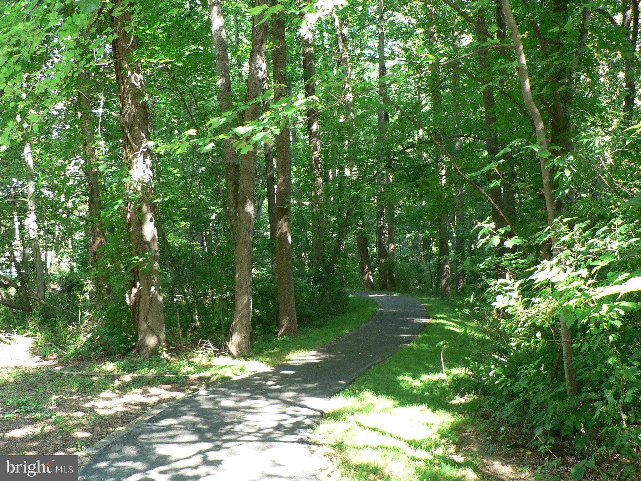 706 Winhall Way Silver Spring, MD 20904 - Photo 28 of 34 Trails