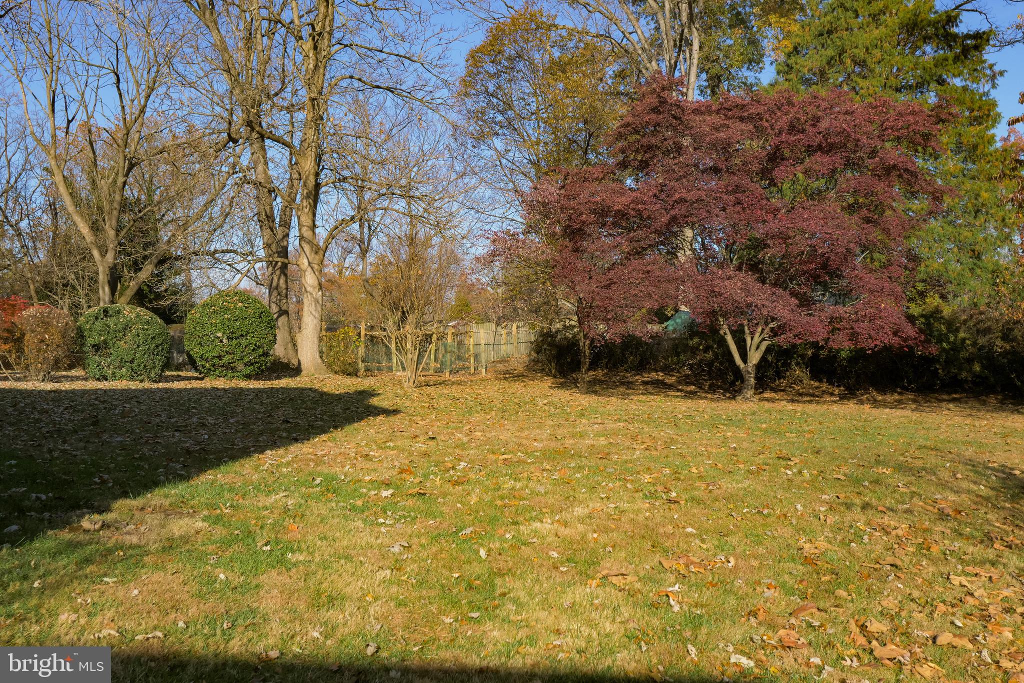 706 Winhall Way Silver Spring, MD 20904 - Photo 4 of 34 Gallery Image 4