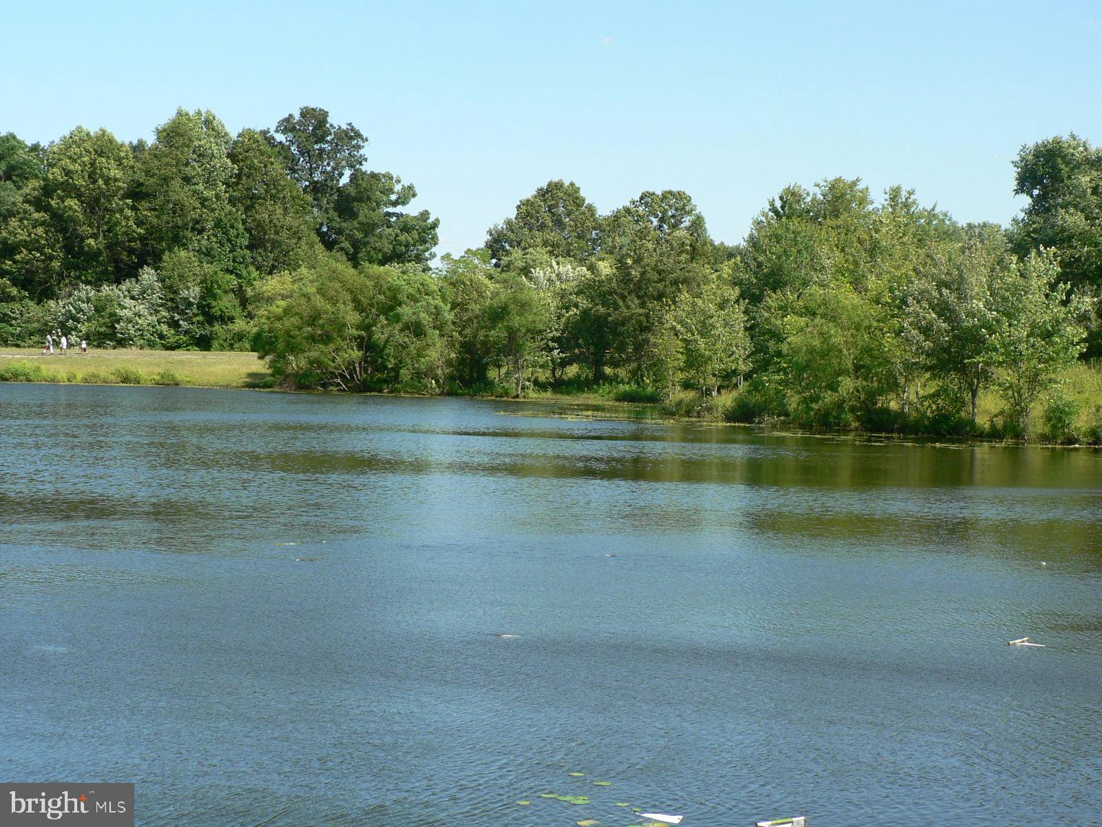 706 Winhall Way Silver Spring, MD 20904 - Photo 31 of 34 Duck Pond