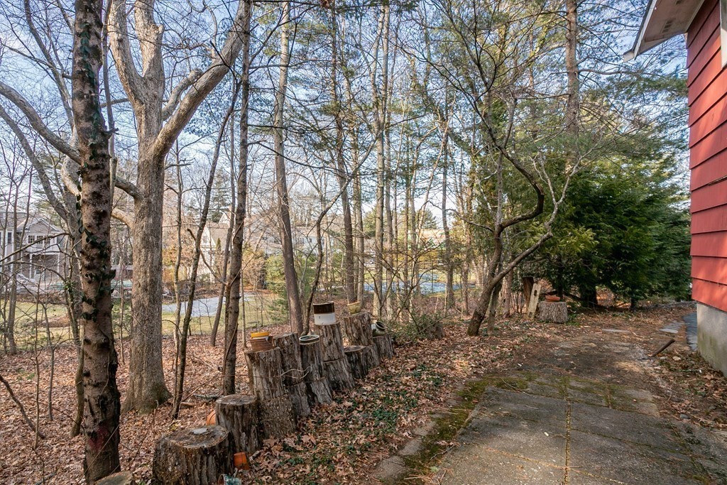 47 Scott Road Needham, MA 02492 - Photo 12 of 25 Gallery Image 12