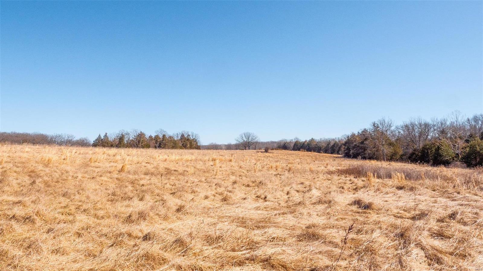 0 Liesemeyer Road Owensville, MO 65066 - Photo 11 of 29