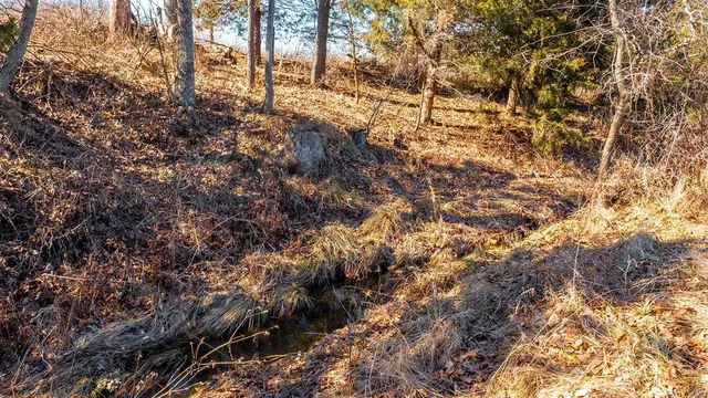 $127,575 | 0 Liesemeyer Road, Owensville, MO 65066