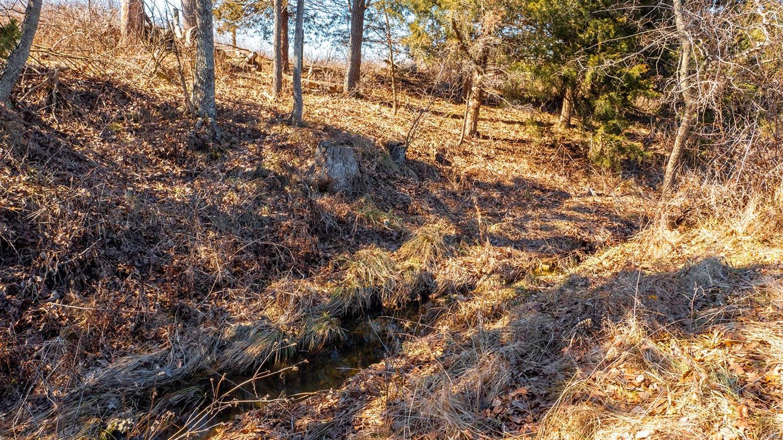 0 Liesemeyer Road Owensville, MO 65066 - Photo 12 of 29